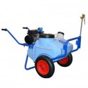 Electric sprayer with tank